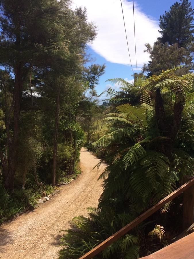 Cabbage Tree Chalet Parapara Exterior photo
